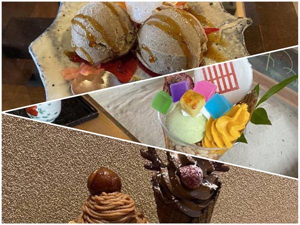 Minimal - Bean to Bar Chocolate -ご好評いただいているクッキー缶に、定期便限定バージョンが登場！ チョコレートの風味が異なる4種類の味わいを、ぎゅっと詰め込みました。生地に練り込んだり、上からかけたり 製法もさまざま。Instagram