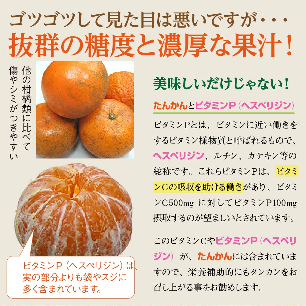 沖縄，冬の名物みかん！「タンカン」の特徴や栄養素，効能について紹介！糸満フルーツ園 けんちゃん