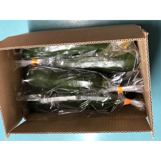 露地栽培と施設栽培の違いとは？メリット・デメリットから徹底比較コラムイノチオグループ