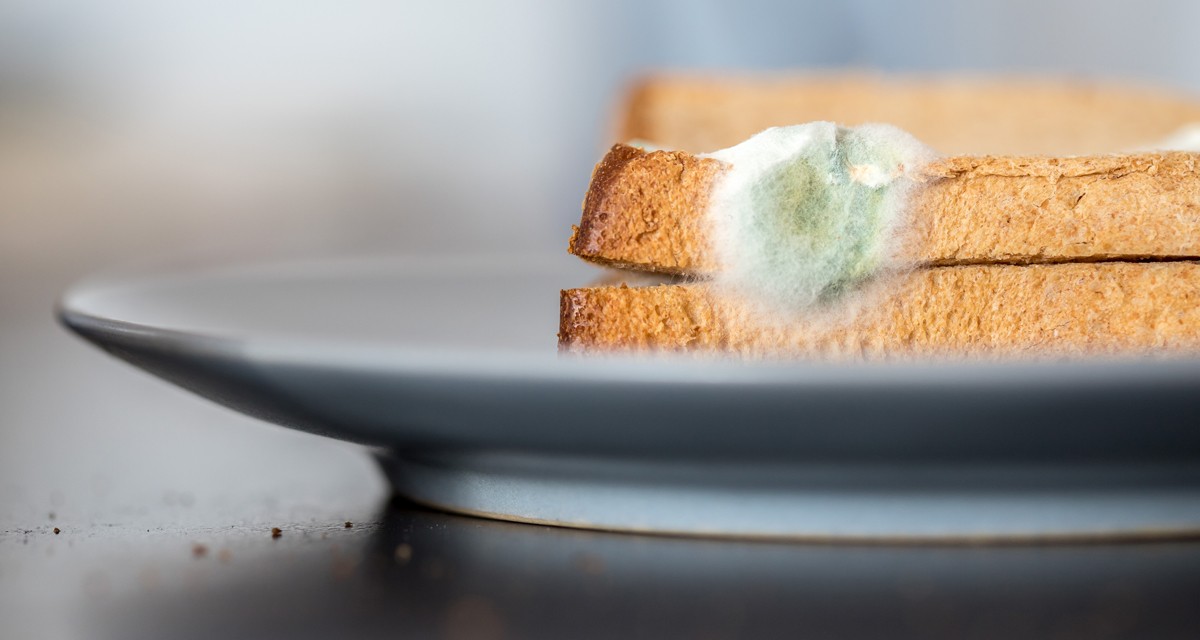 ⚠️ ぬか床 カビの見分け方 ぬか漬けぬか床腸活産膜酵母