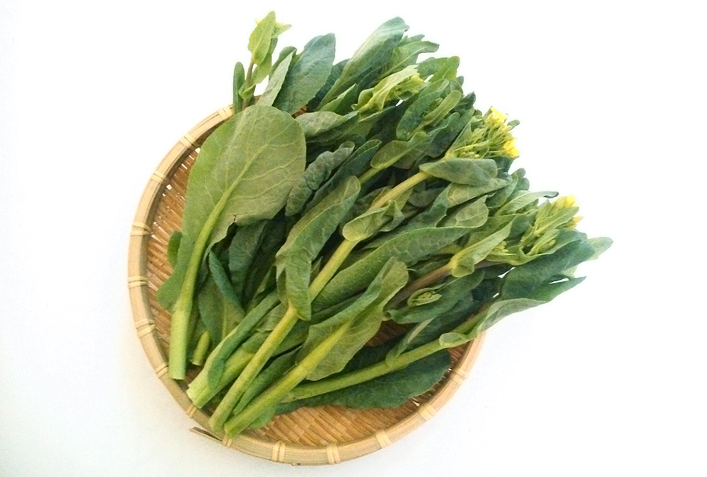 信州塩尻おやきセット 14個セット旬菜花 JALふるさと納税サイト