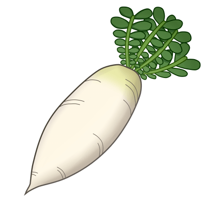 夏野菜 10157000005 の写真・イラスト素材アマナイメージズ