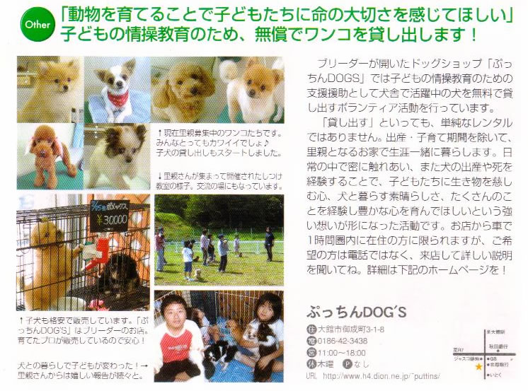 株式会社 ぷっちんDOG'S 秋田県- 子犬や子猫たちのペット販売情報が満載「ペットステーション」