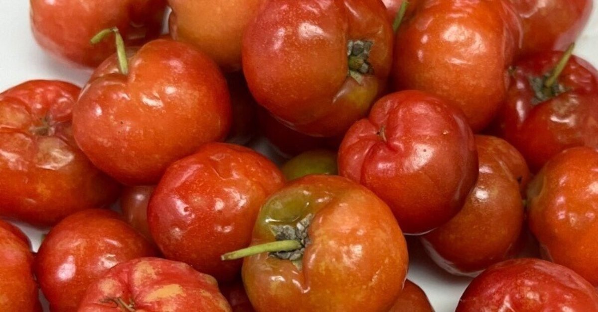 グミの実とは？その特徴や食べ方についてご紹介しますデリッシュキッチン