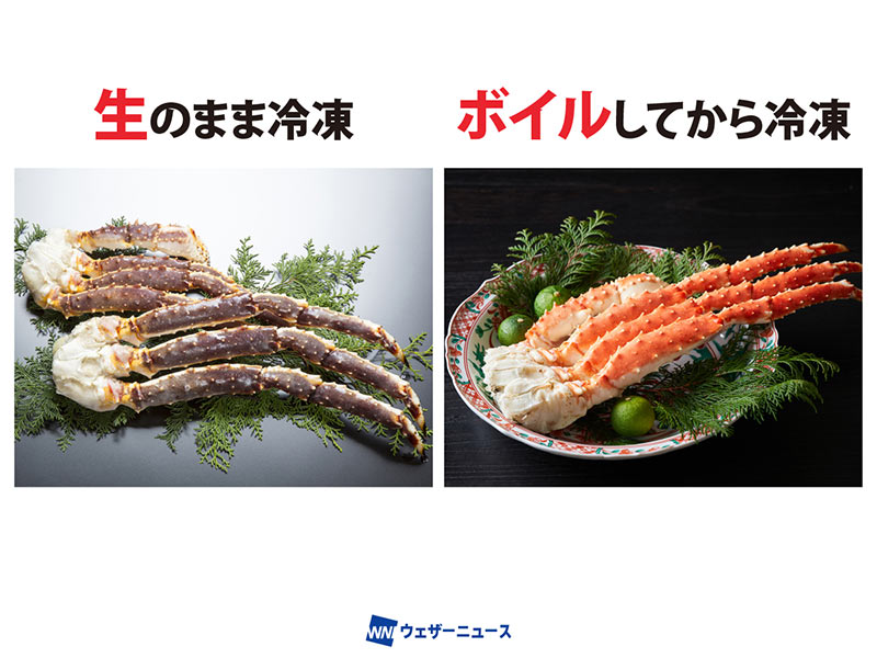 カニにくっついている黒い粒って何？食べられる