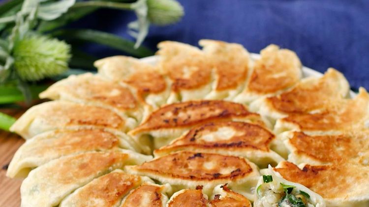 お肉なしで美味しい！ 野菜餃子の作り方 How to make vegetable gyozavegan