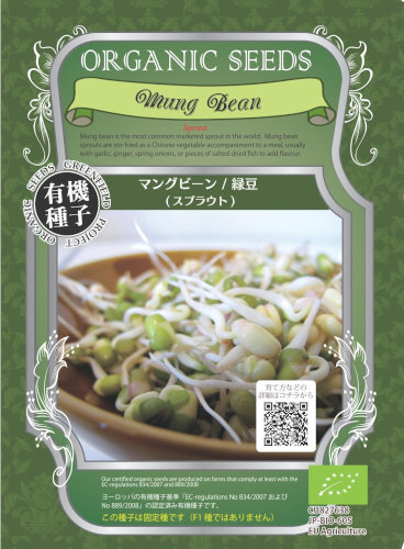 ビーンスプラウト」の画像素材 写真・イラスト- イメージマートimagemart