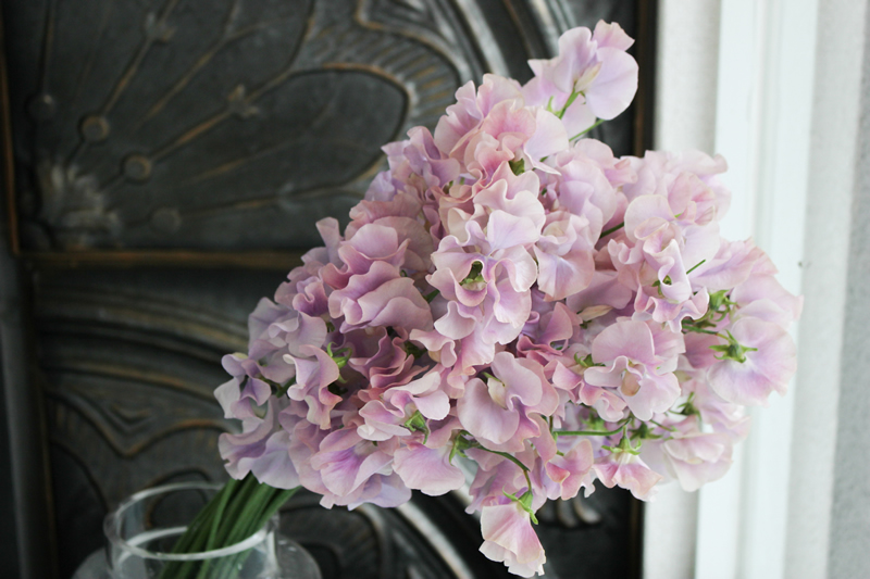 カクタ花農場 スイートピー栃木県青山フラワーマーケット花束・ギフトのオンラインショップ