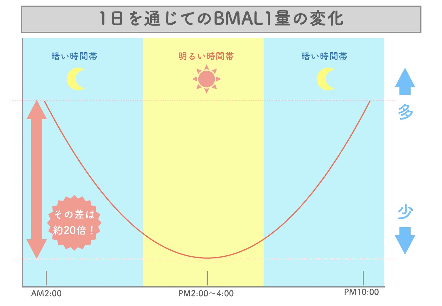 果物を食べるタイミング！時間帯によってはシミだらけになるぞニュースらぼ