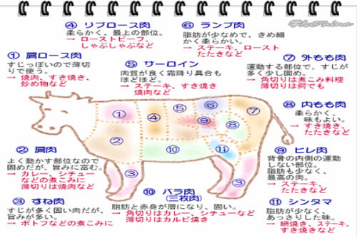 九記牛腩 クチコミ・アクセス・営業時間香港 フォートラベル
