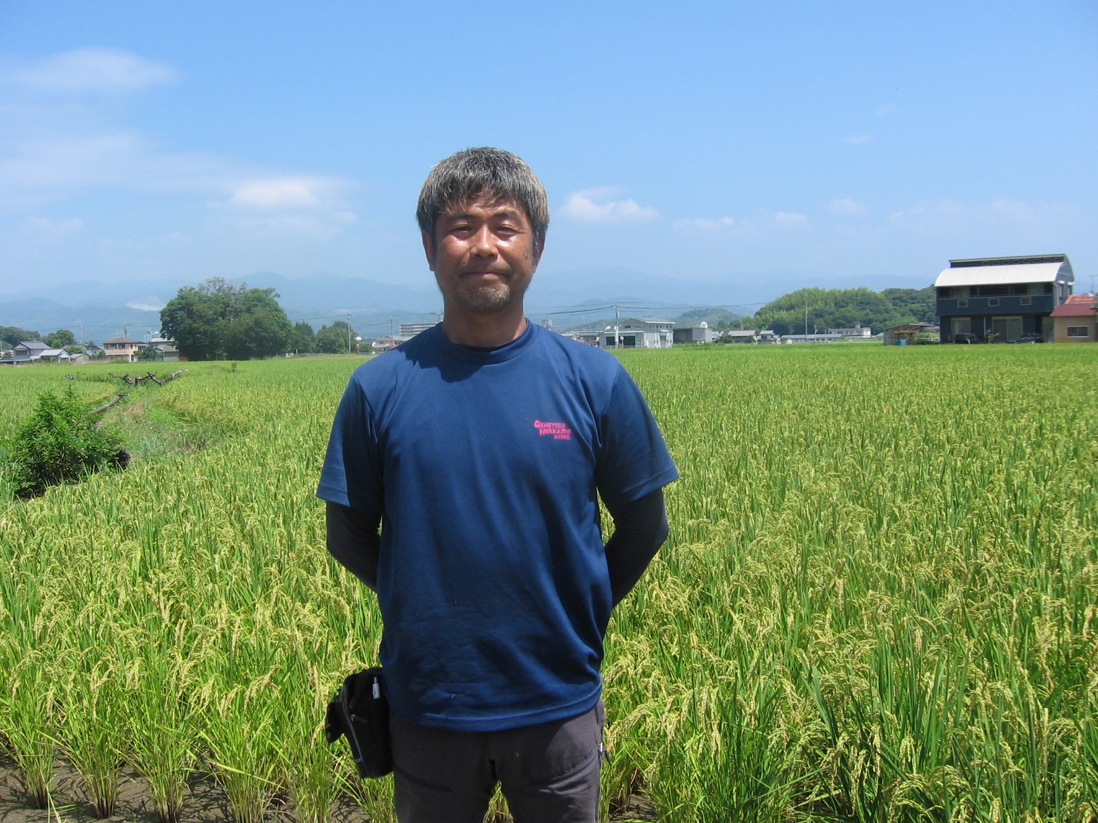 ミツハシ 田んぼからの便り 国産 5kgの口コミ・レビュー・評判、評価点数ものログ