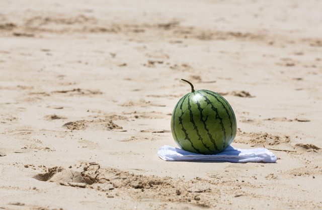 日本の夏の食で「涼」を楽しむ