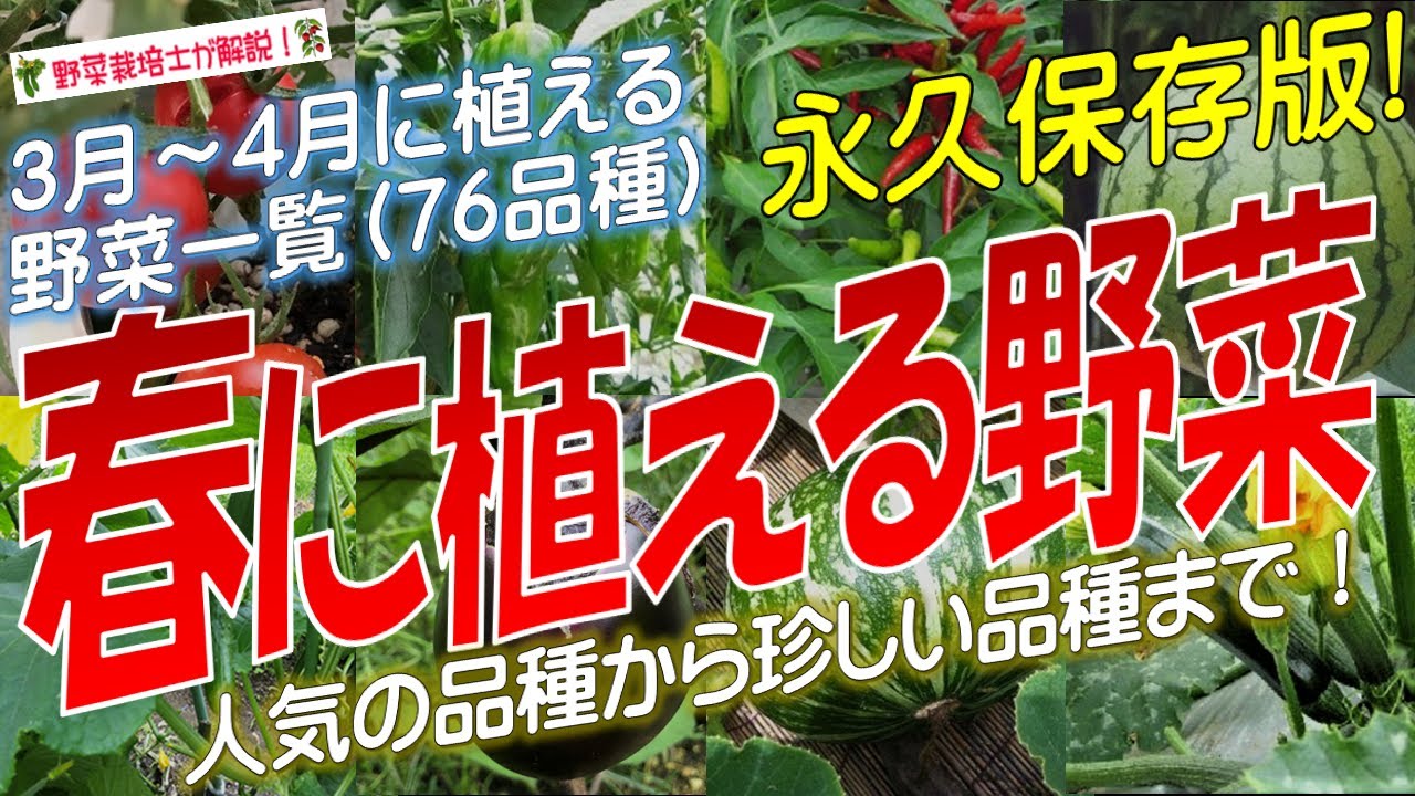 家庭菜園春に植えるおすすめ野菜38選栽培のコツや注意点を紹介植物とあなたをつなぐPlantia