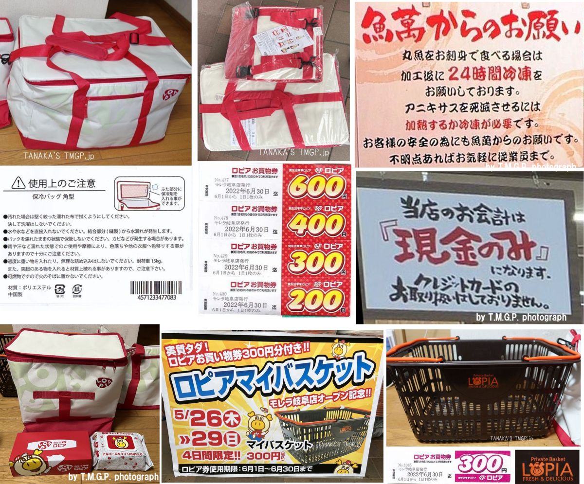 ロピア岡崎インター店オープン・初三河へ拡大！しかしライバルが弱みを追従 - コラム更新日記