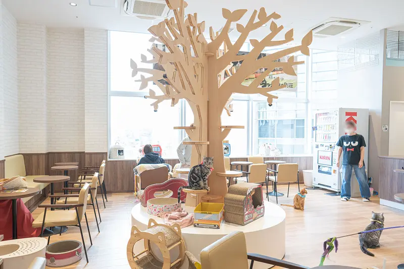 施設詳細コワーキングスペース・レンタルスペースなら+PLACE