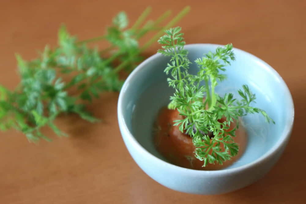 🌱 「リボベジ」チャレンジ⚡ ”もっと気軽に栽培を楽しんでいただきたい！” 今回は捨てられる人参を使ったリボベジをご紹介！ ˗ˏˋ リボベジとはˎˊ˗「リボベジ」とは「リボーンベジタブル」の略で 野菜の根っこやヘタなど、調理の時に捨ててしまう部分を水に浸けて再び