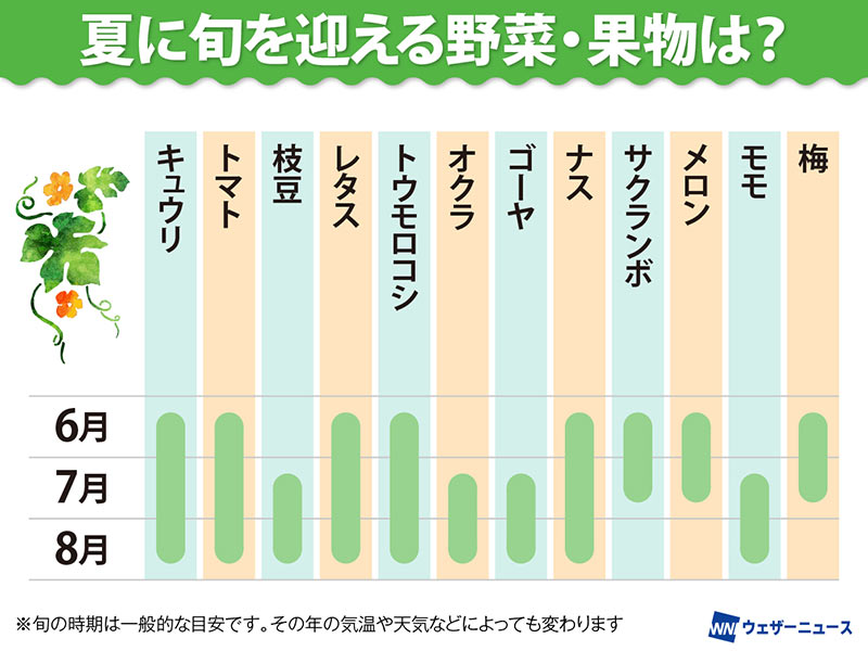 夏の旬素材素材の基本とっておきレシピキユーピ