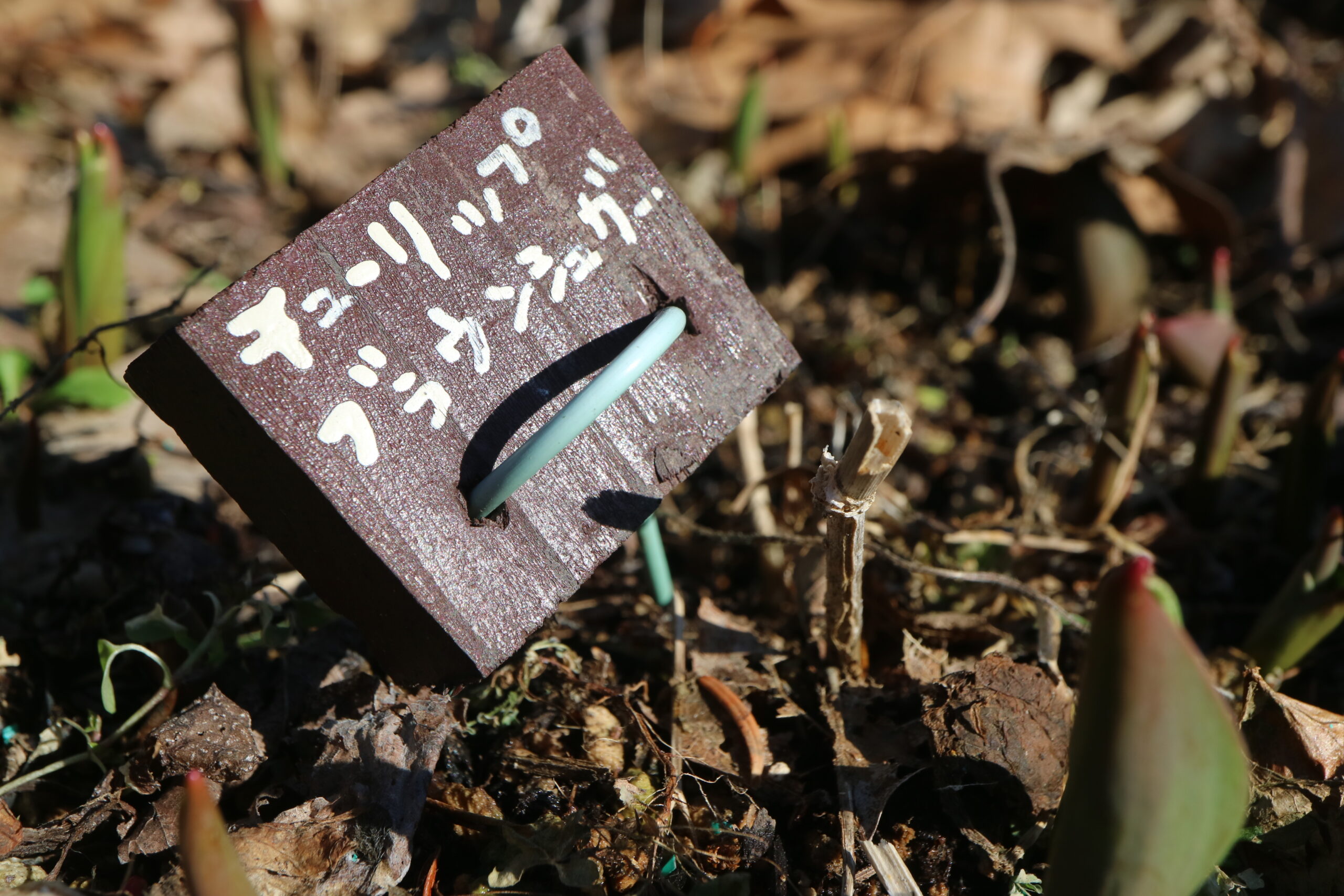 花壇 ネームプレート 手作り DIY、工具 のおすすめ人気商品一覧 通販 - Yahoo!ショッピング