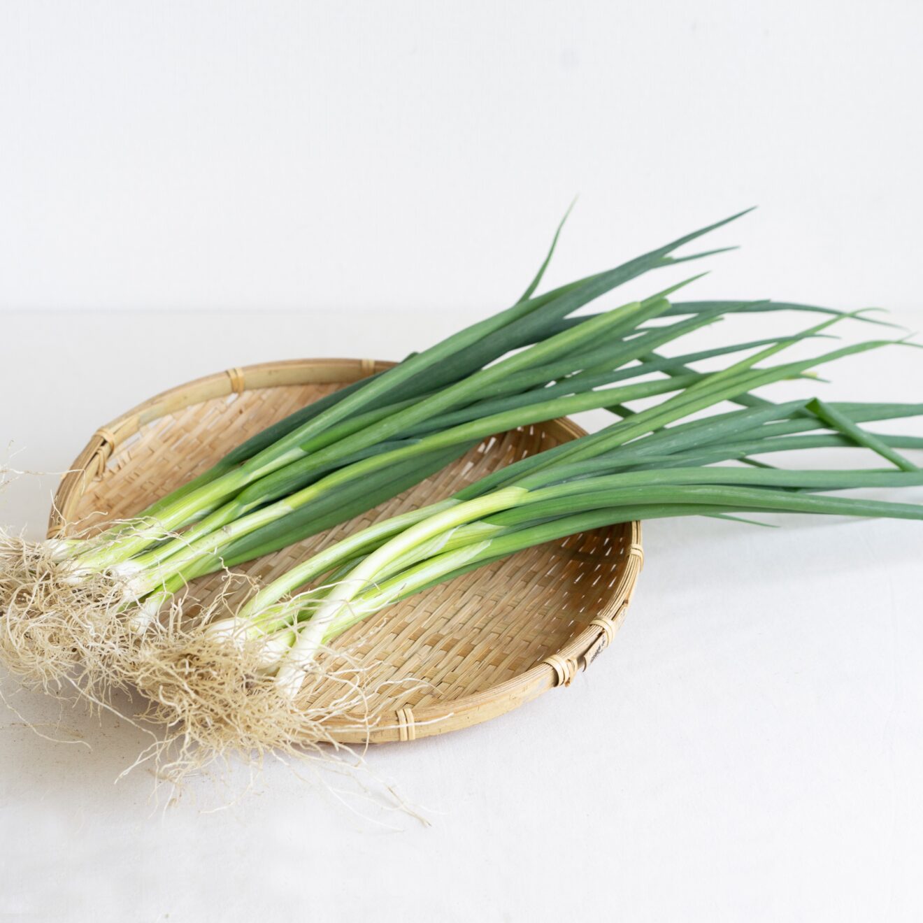 捨てないで！ネギの青いところでちゃちゃっとおつまみ