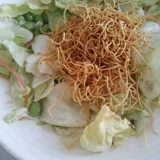 長崎流 サラダ皿うどんのご提案