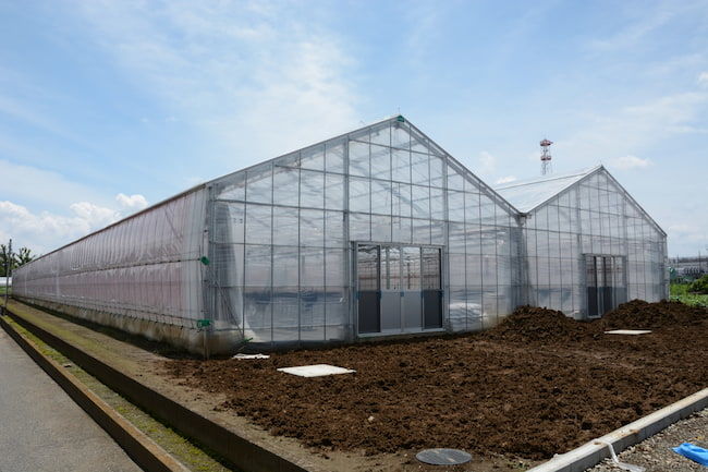 自宅の庭でビニールハウス！間口1.8m 奥行2.4m 高さ2.2m 路地じゃ育てられなかった植物もビニールハウス なら可能に！？北海道、沖縄、離島は別途、送料がかかります。＊ヒロガーデン1.3A 越後姫・桃薫 いちご専門通販サイト苺の花ことば 公式 -新潟県上越市の