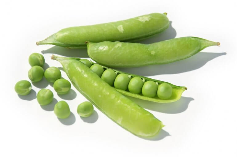 エンドウ豆の驚きの多様性 さやえんどう、スナップえんどう、うすいえんどう、一寸豆の魅力を探る青空市場