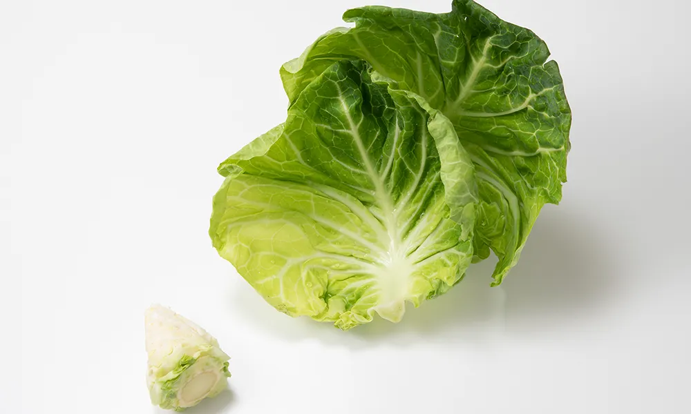 甘い冬キャベツの 芯 まで食べ尽くす4つのテクニックかき揚げ、「野菜だし」ほか美味しいレシピを試す racss- エキスパート -Yahoo!ニュース