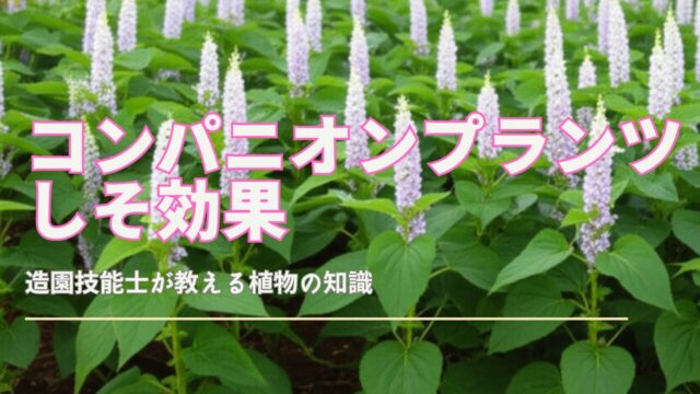 社会人の常識！飲み会後の上司へのお礼はLINEやメールで送るべき？ - トレンドインフォ部
