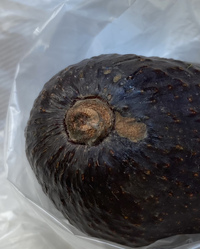 面白いアボカドの写真素材・画像素材 Image 81584064