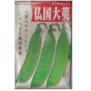 えんどう豆固定種 在来種に強い 野菜のタネ専門通販サイトアサヒのぐるたね