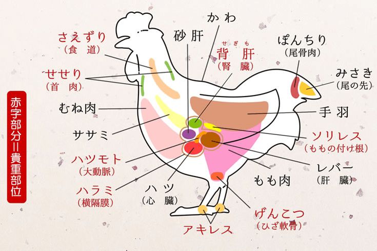 鶏肉の部位でソリやペタって何？一覧と特徴 これで鶏が丸分かり
