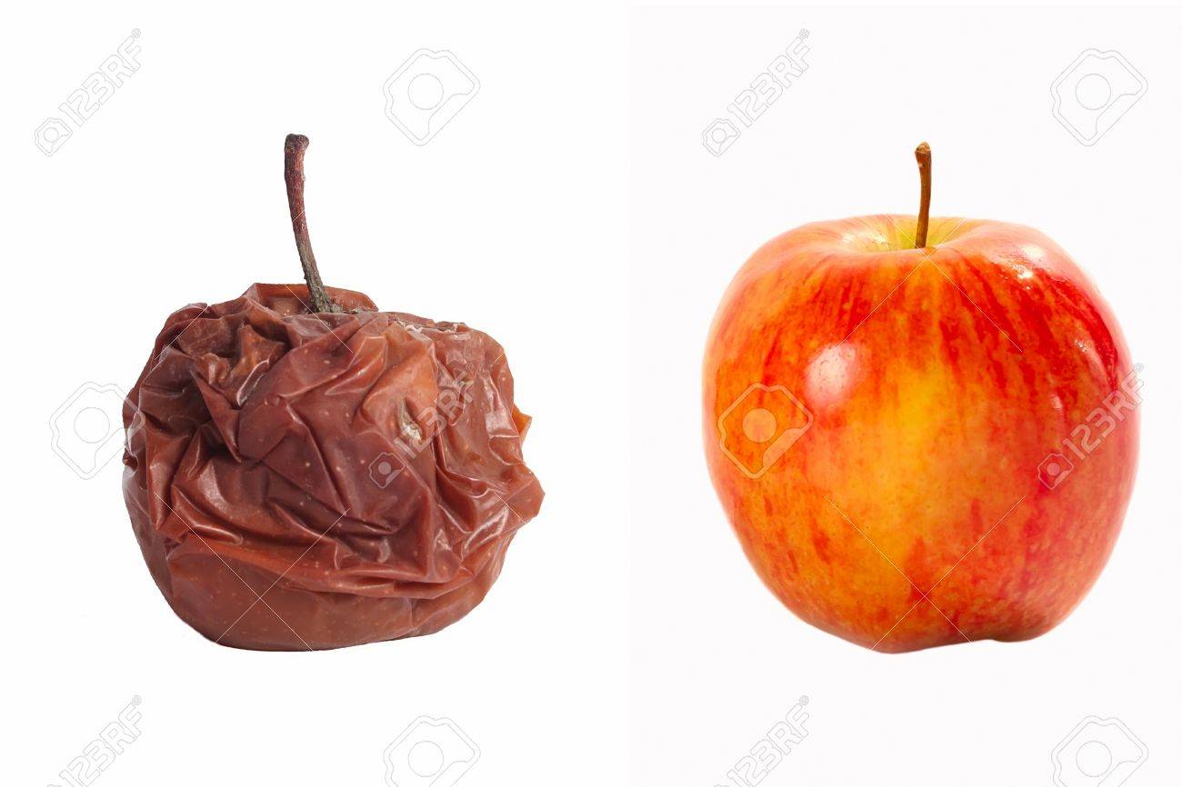 カビやカビ、腐った食べ物、真菌、カビで覆われた腐ったリンゴは、保管違反、クローズアップ中に熟したリンゴを破壊しましたPremium写真