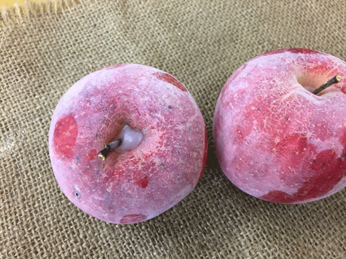 ASCII.jp：好きなタイミングで凍らせて食べる！常温保存が可能な「みかん・りんごアイス」を期間限定で販売