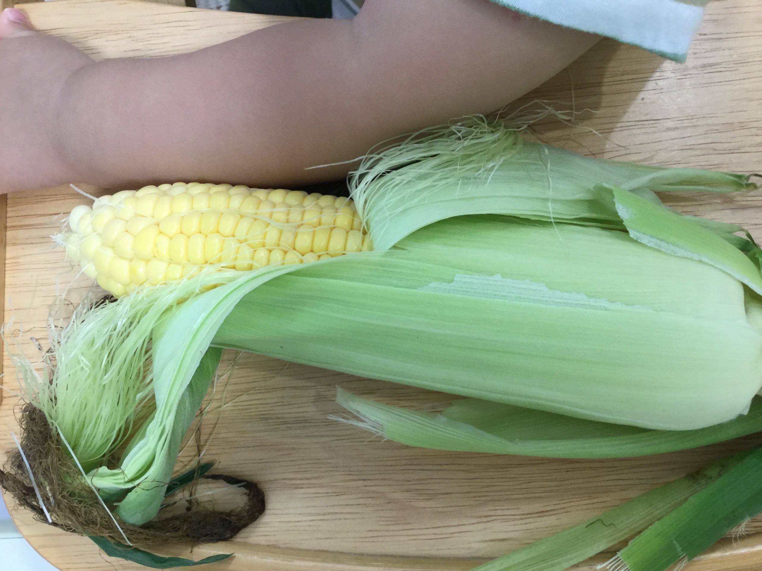 とうもろこしの皮むき港区立東麻布保育園
