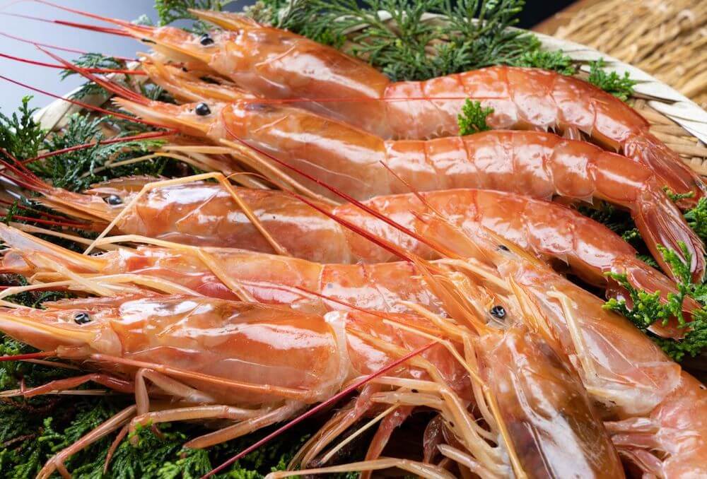 エビ海老とシーフードの葱の寒いストーブ バーベキュー火焼き - えびのストックフォトや画像を多数ご用意 - えび, おかず系, エビ料理 -iStock