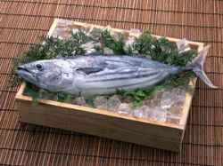 千葉県九十九里浜産活ハマグリ 保存方法・美味しいお召し上がり方貝類tasty meal