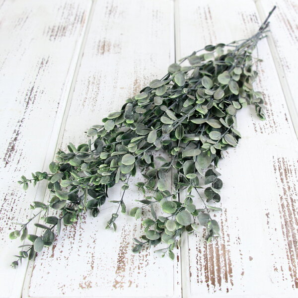 アスパラ 人気の花束・ブーケ特集FLOWERかわいい花束を 送料無料 でお届け！毎日お得なオンラインのお花屋さん