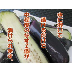 水茄子とは？ 普通の茄子とどう違う？召し上がり方や料理方法もご紹介致します。│あゆみ食品加工本来の風味がより長く楽しめる泉州水茄子の美味しいぬか漬け水ナスのお漬物を購入できる通販サイト