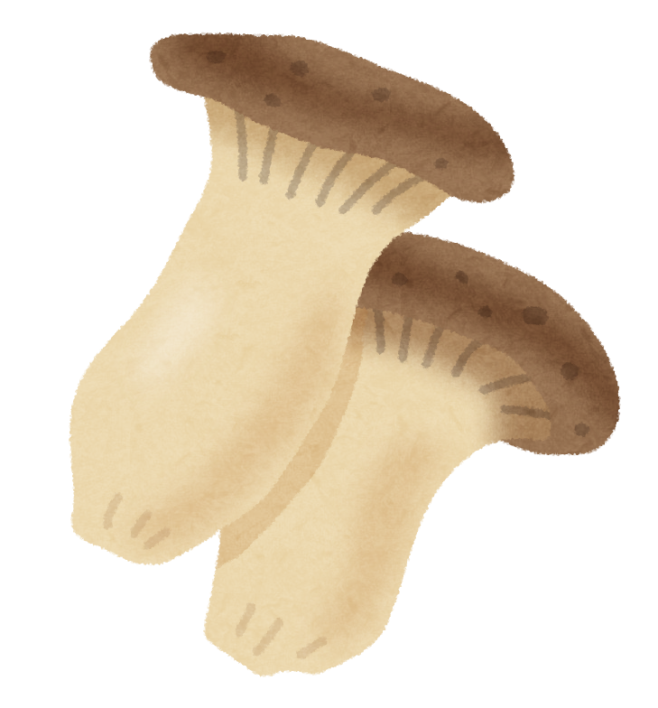 エノキ紅葉1のイラスト素材35298697- PIXTA