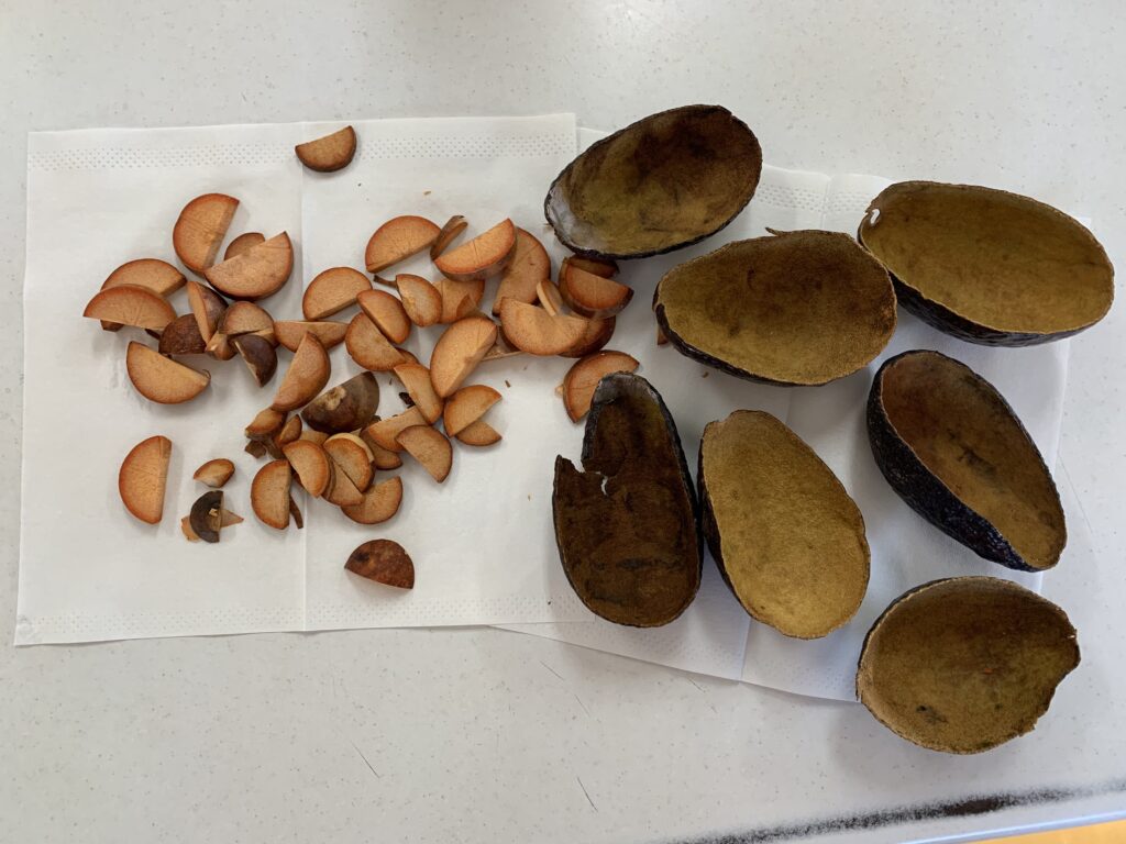 76. 草木染め 刺し子糸コットンの染色│アボカドで可愛いピンク染まりました