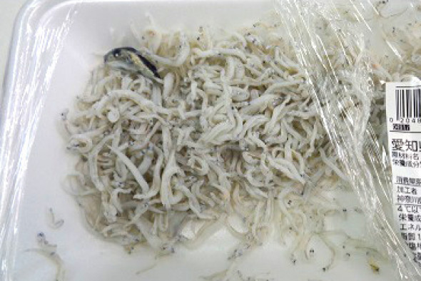 楽天市場 釜揚げしらす イワシの稚魚の通販