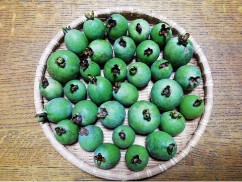 宮古島産夏の始まり甘酸っぱいパッションフルーツ