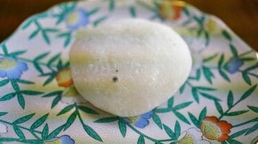 カビやしわが腐った黄色のピーマン 不健康な概念 腐った野菜 ゴミは緑の背景に腐った食べ物をダンプします 最上階だ 廃棄物の概念 — ストック写真 ©Kasia2003520770248