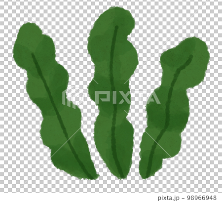 スプラトゥーンイラスト海藻めかぶTikTok