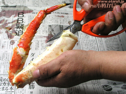 図解 たらば蟹の旬・食べ方 茹で方・さばき方 ズワイガニとの違いとは