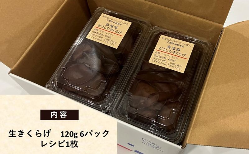 女性にうれしい栄養たっぷり！コリコリ「キクラゲ」のおいしいレシピキナリノ