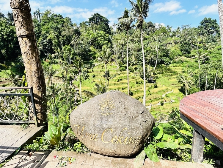 テガララン ライステラス周辺のグルメ 5選トリップアドバイザー