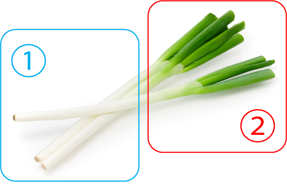 ネギの種類 焼き物から鍋物まで、料理で品種を使い分けよう！カゴメ株式会社