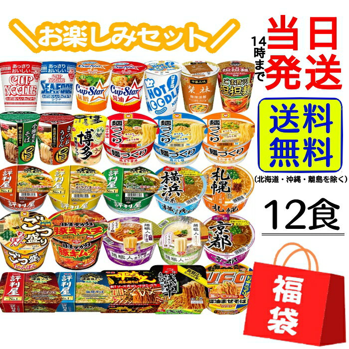 2024福袋6 日清オンラインストア福袋 大盛セット日々