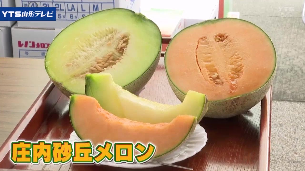 庄内砂丘メロンセット 7月上旬発送開始全農食品オンラインショップ